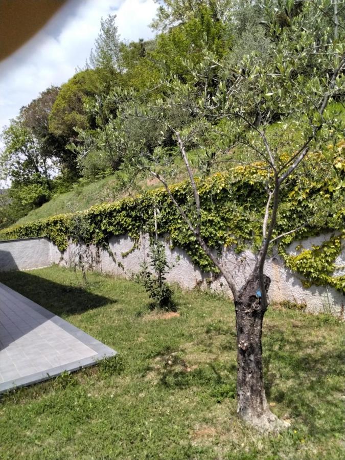"Vento Di Levante Suite" Benvenuti In Collina Casarza Ligure Exteriör bild