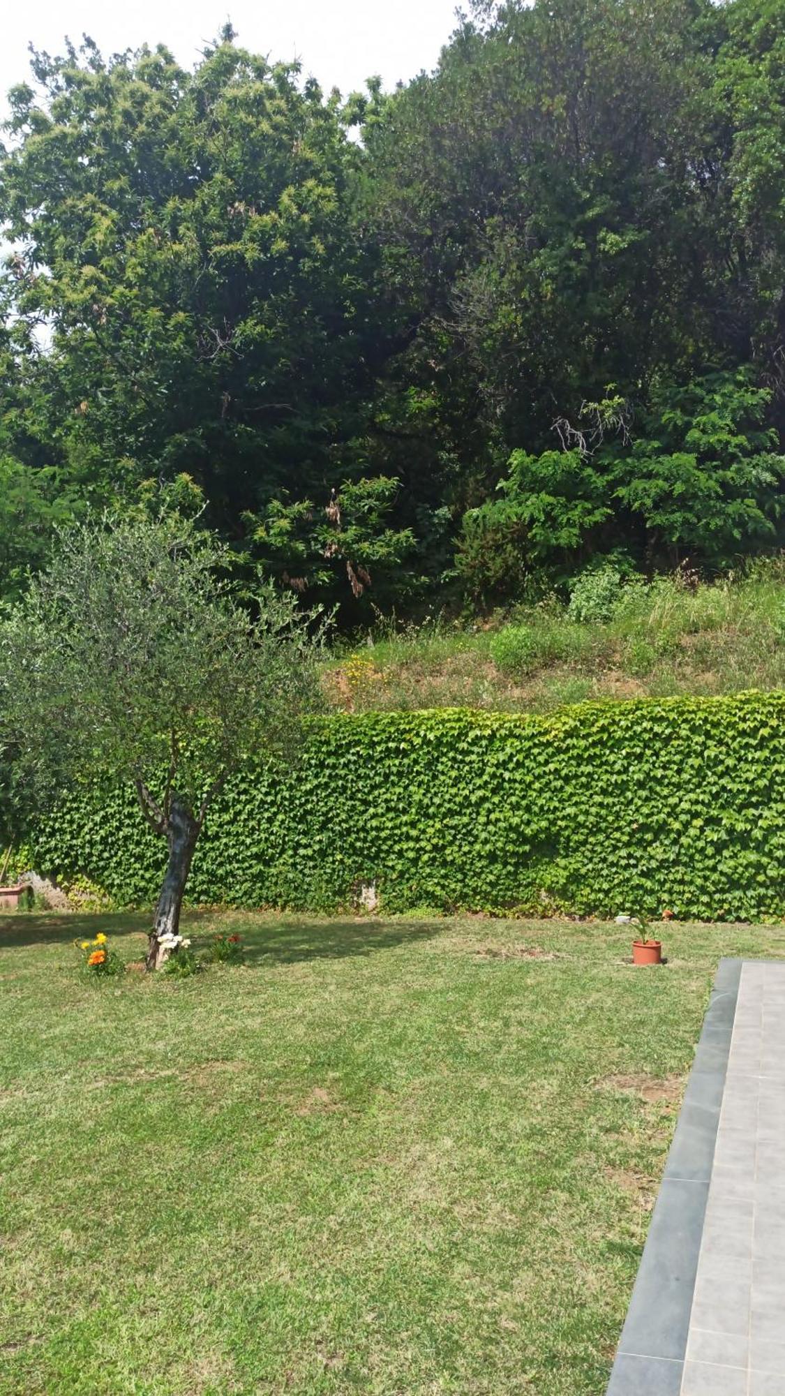 "Vento Di Levante Suite" Benvenuti In Collina Casarza Ligure Exteriör bild
